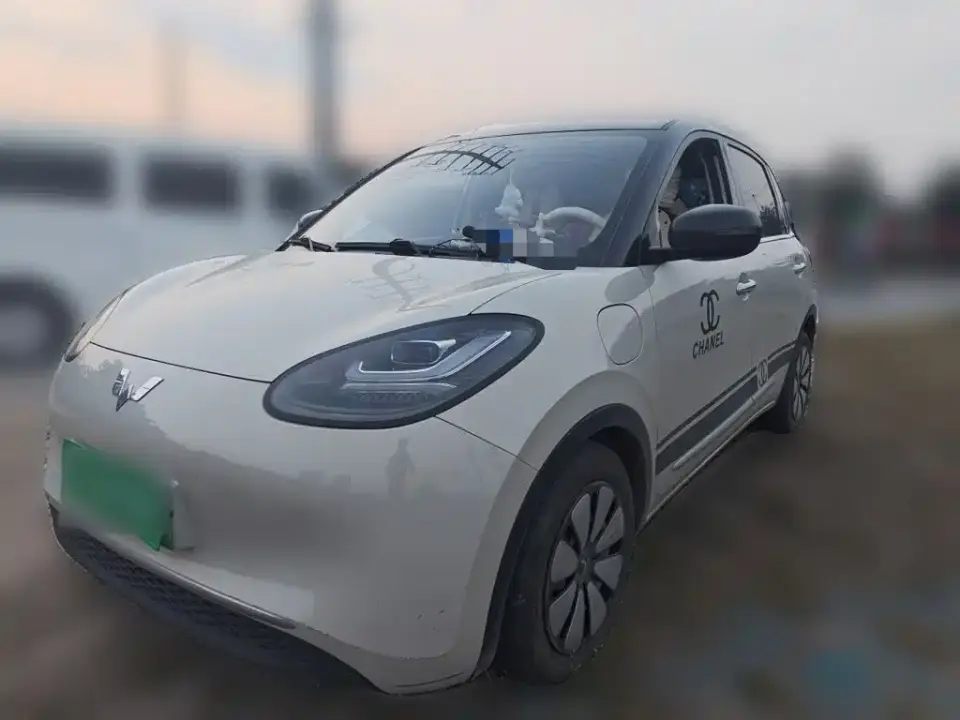 Wuling Motors Wuling Bingo 333km Smart Connect Edition 2024