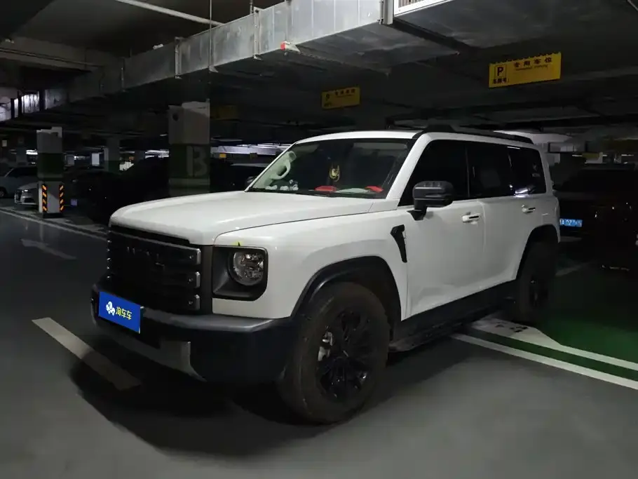 Haval Meng Long NEV Hi4 145 Pro 2024