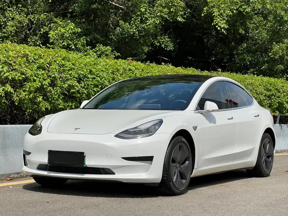 Tesla Model 3 Standard Range Rear-Wheel Drive Upgrade 2020