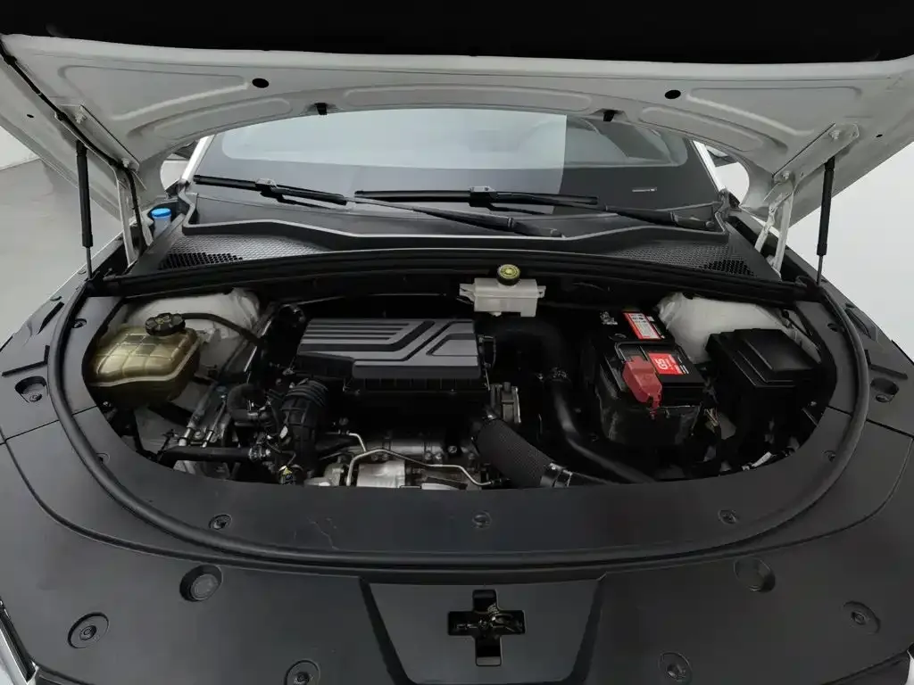 BYD Song PLUS 1.5T Automatic Flagship 2021 — фото 6