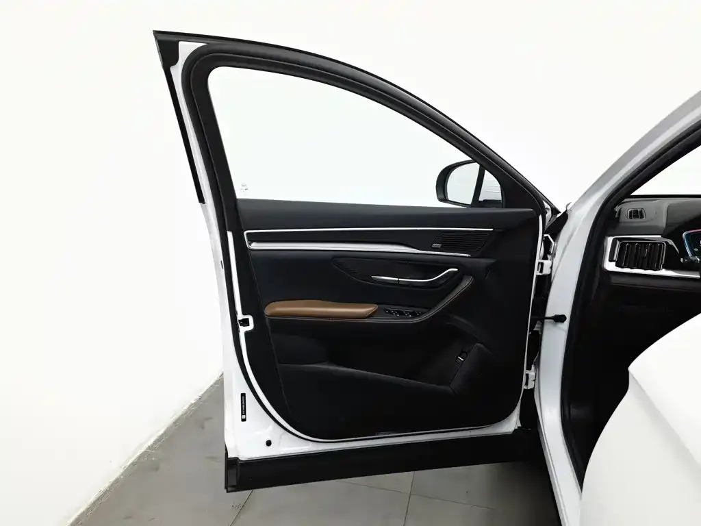 BYD Song PLUS 1.5T Automatic Flagship 2021 — фото 8