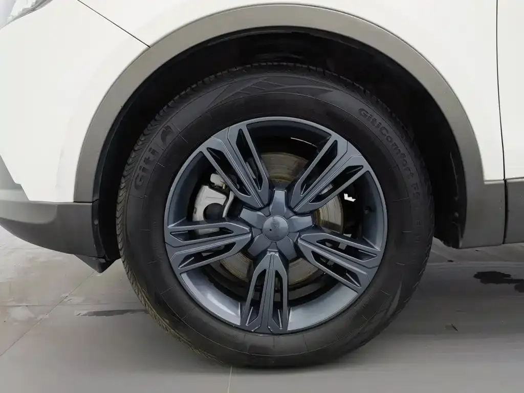 Leopaard CS10 Model 2.0T Automatic Urban Edition 2019 — фото 17