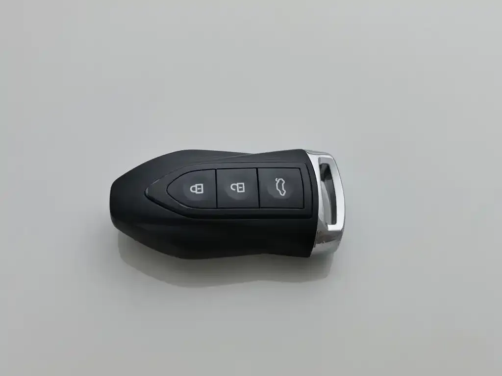Leopaard CS10 Model 2.0T Automatic Urban Edition 2019 — фото 19