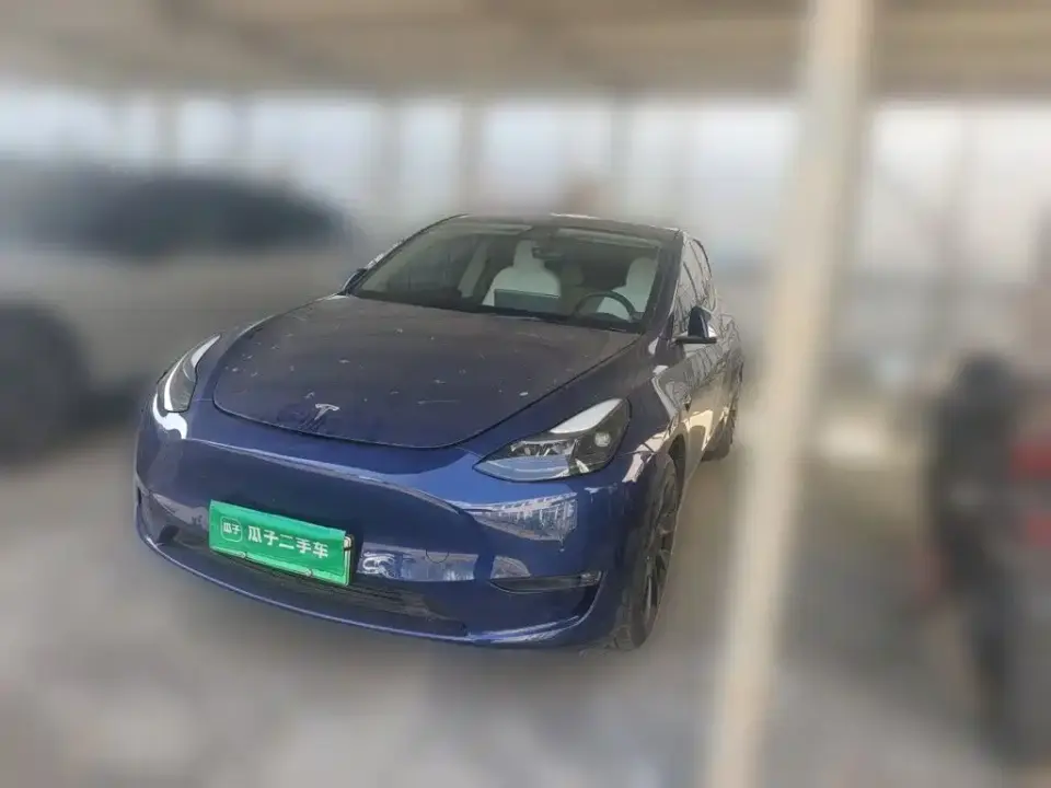 Tesla Model Y Standard Range Rear-Wheel Drive 2021