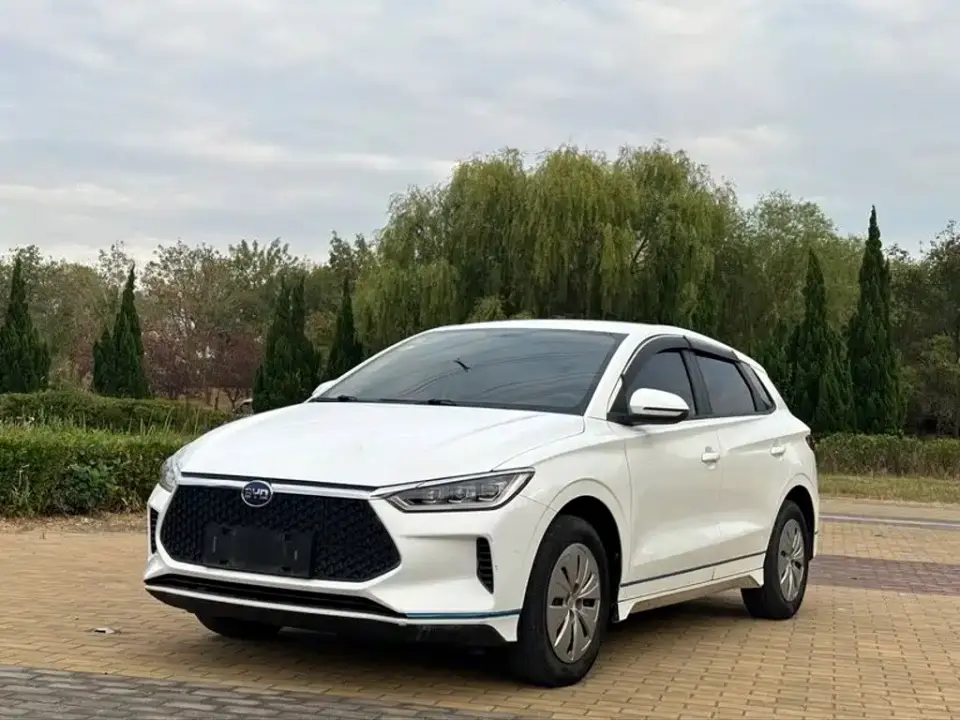 BYD e2 Standard Range Yue·Standard Model 2019