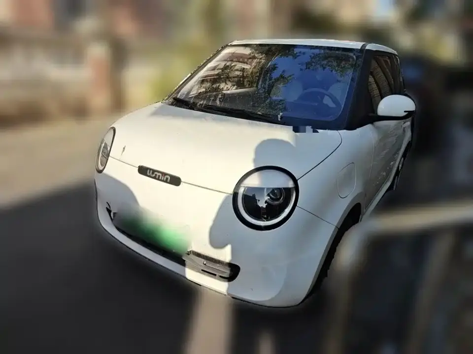 Changan Qiyuan Changan Lumin 210km Sweet Edition 2024
