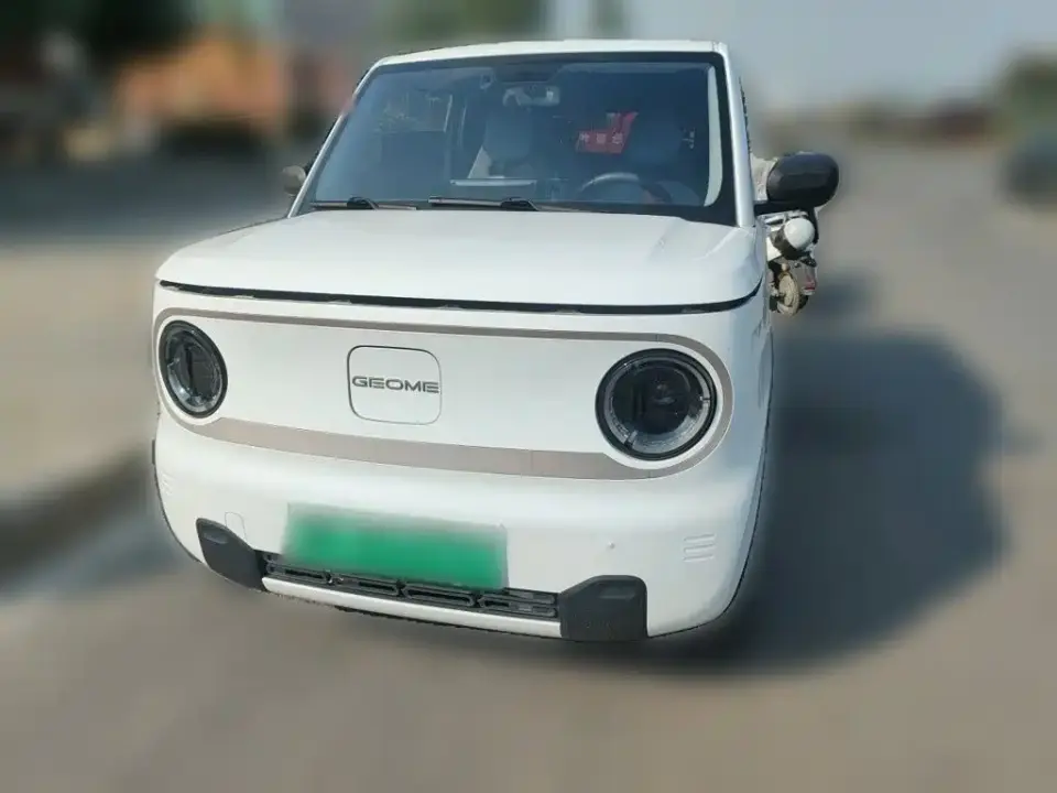 Geely Galaxy Panda Panda Mini 200km Endurance Bear 2023