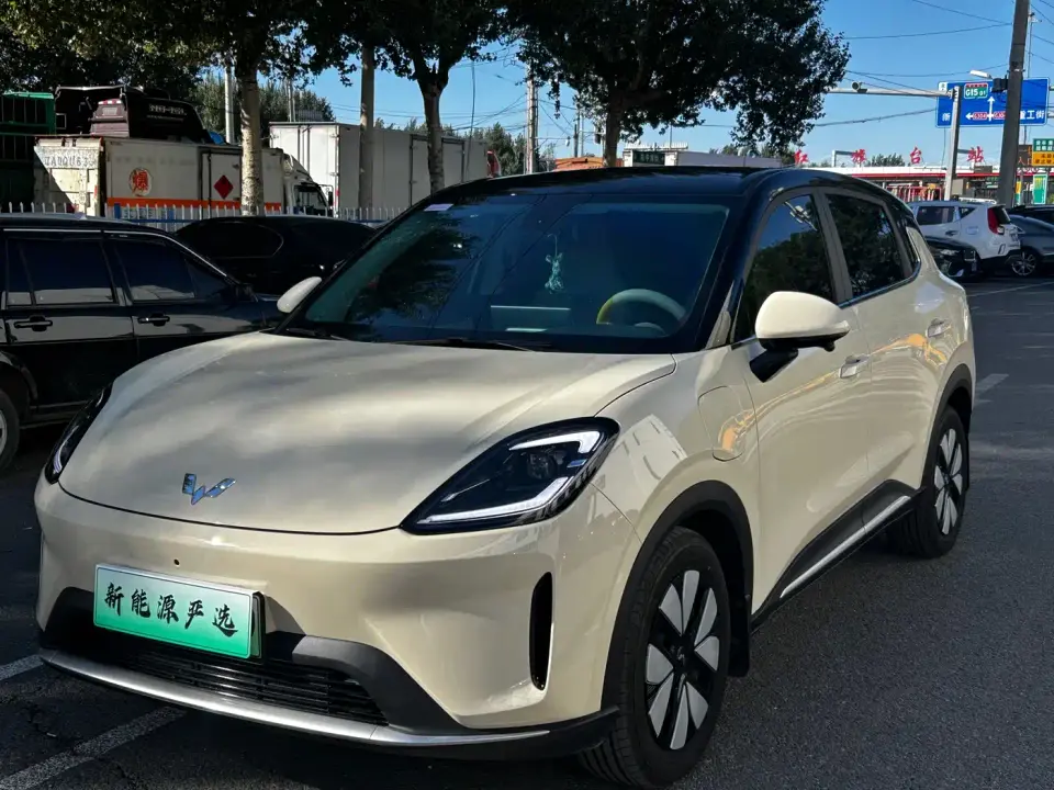 Wuling Motors Wuling Bingo S Model 325km Premium Edition 2025