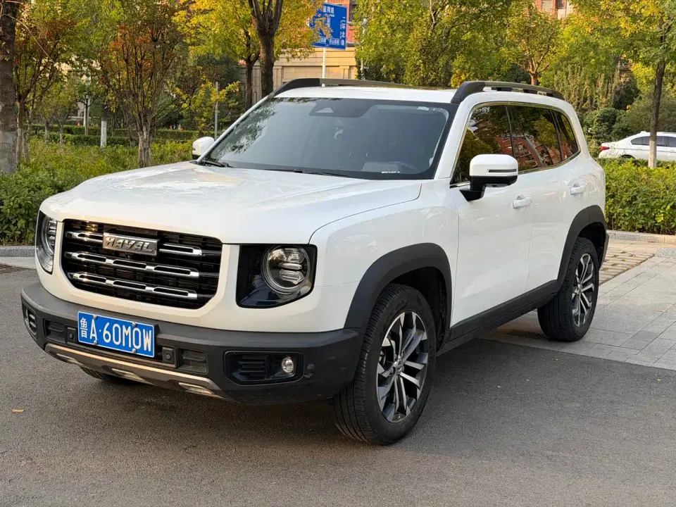 Haval Big Dog 1.5T DCT FWD Border Collie Edition 2023