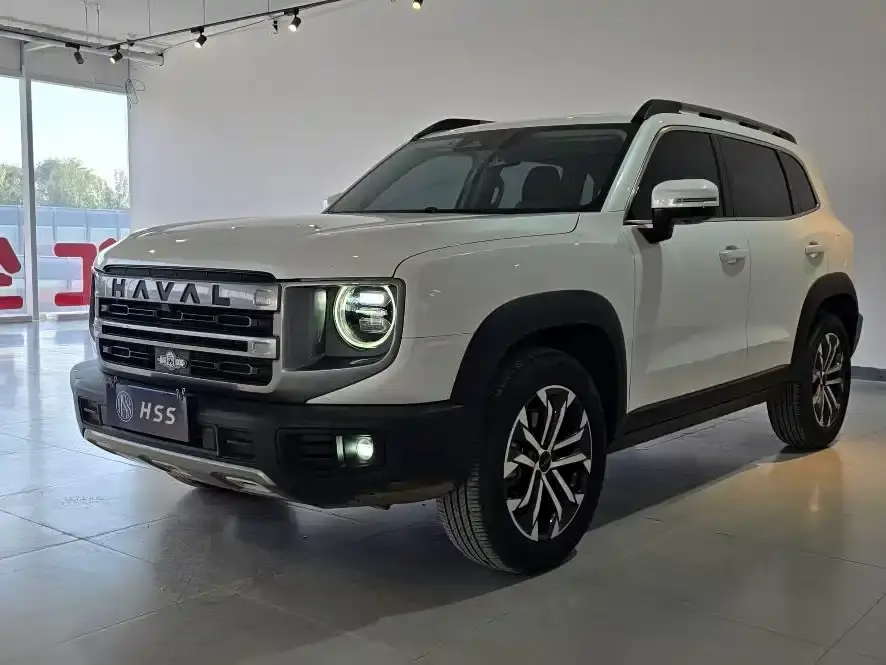 Haval Big Dog 1.5T DCT Border Collie Edition 2023