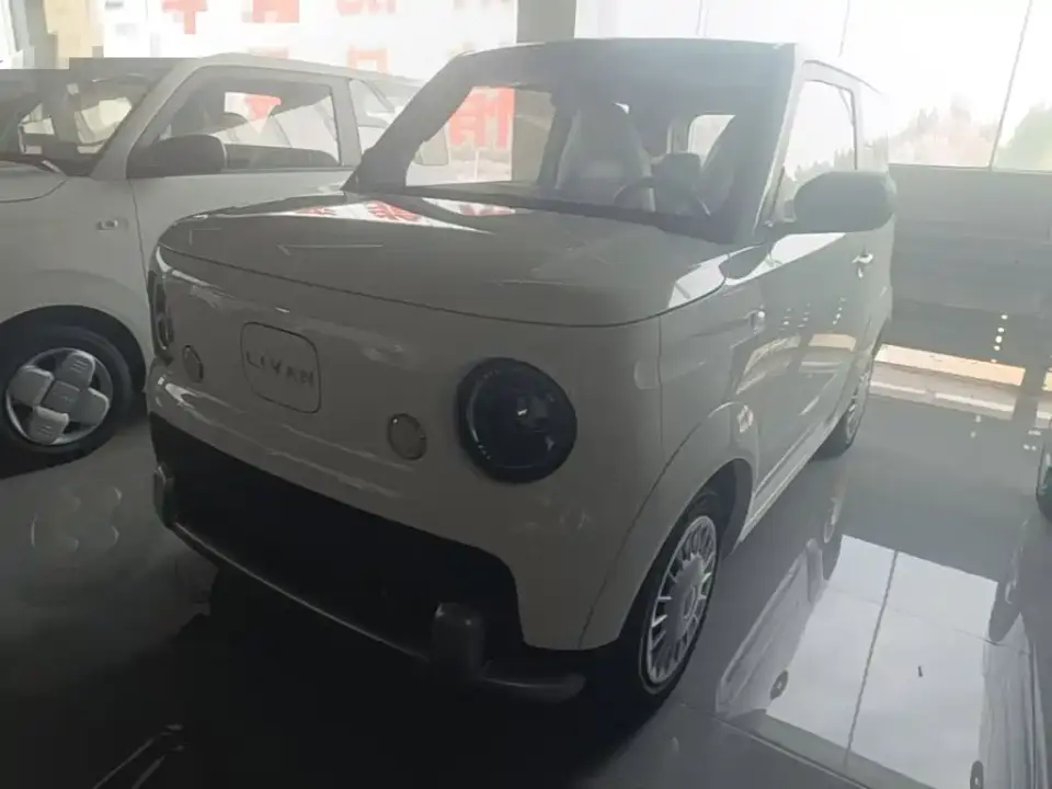 Ruilan Auto Ruilan Blue Elf Base Model 2026