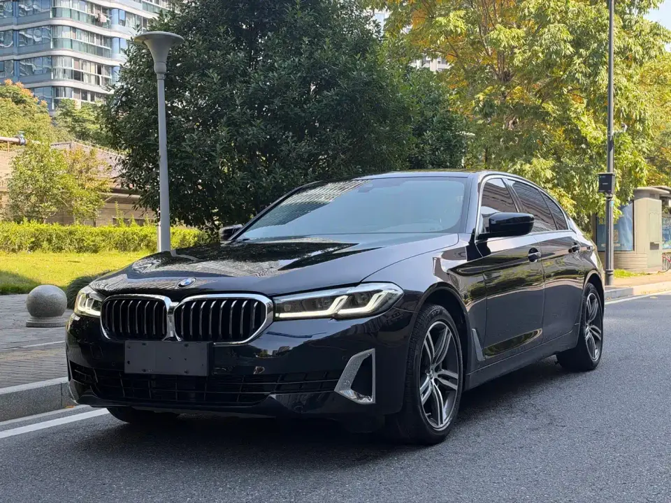BMW 5 Series 530Li Leading Luxury Package 2021
