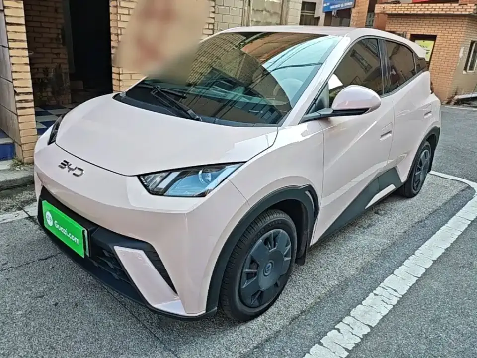 BYD Seagull Glory Edition 305km Vitality Edition 2024