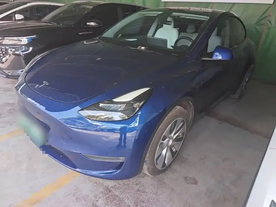 Tesla Model Y Long Range All-Wheel Drive 3D7 2021