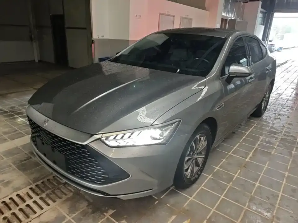 BYD Qin PLUS Champion Edition DM-i 55KM Leading 2024