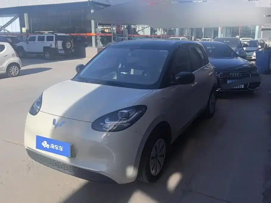 Wuling Motors Wuling Bingo 333km Quick Enjoy Version 2023