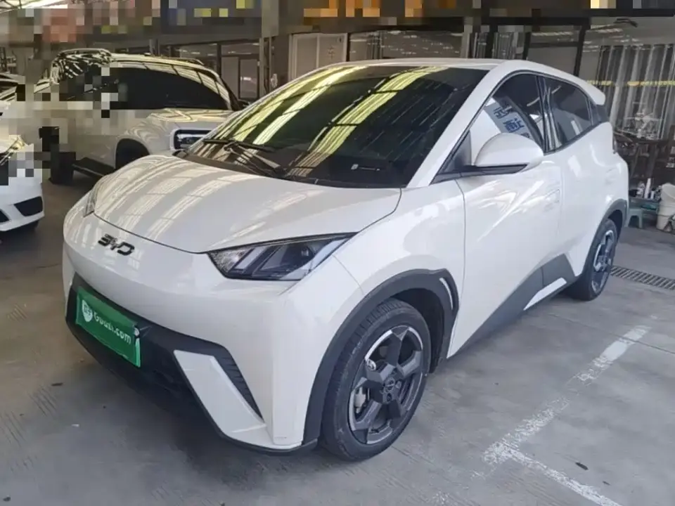 BYD Seagull Glory Edition 305km Freedom Edition 2024