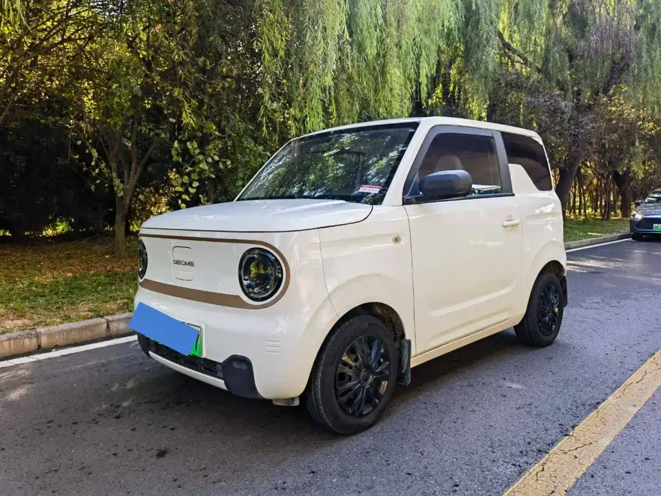 Geely Galaxy Panda Panda mini 200km Endurance Bear 2024
