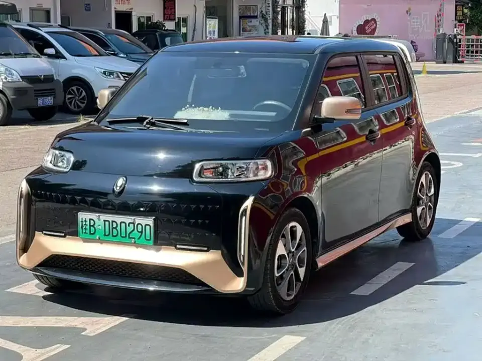 ORA White Cat Wildcat Edition 360km Luxury (NMC) 2021