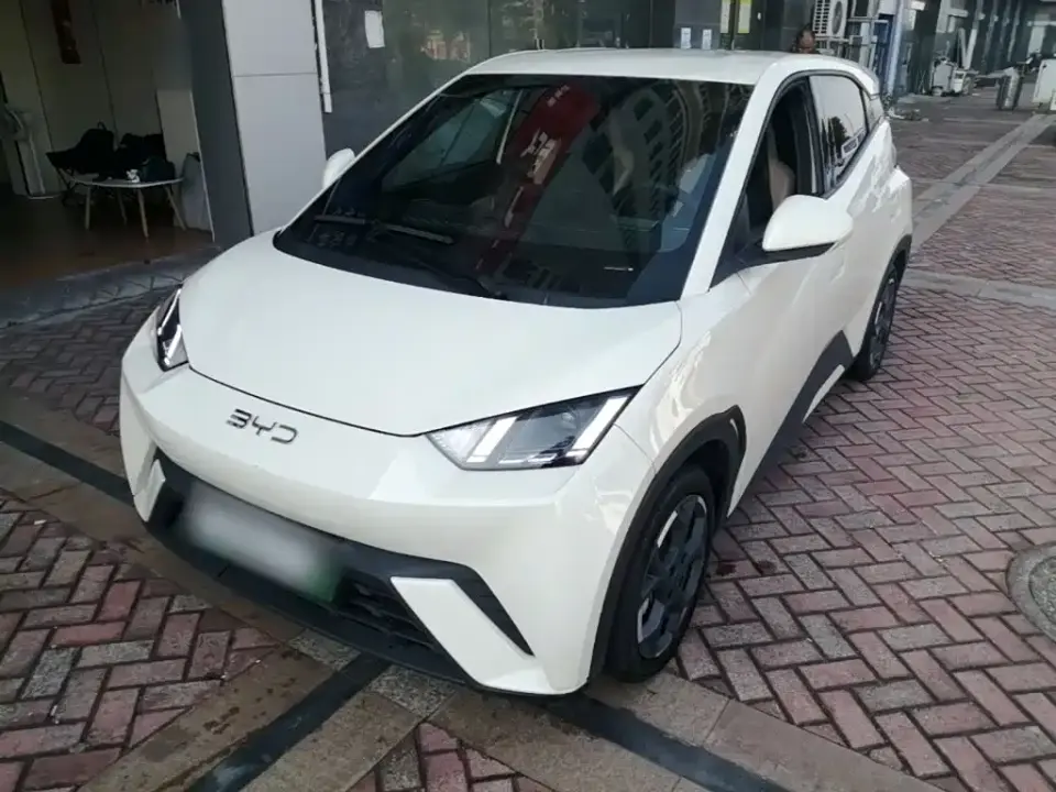 BYD Seagull 405km Soaring 2024