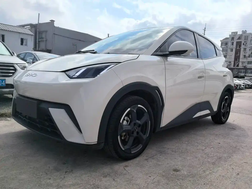 BYD Seagull Glory Edition 305km Vitality Edition 2023