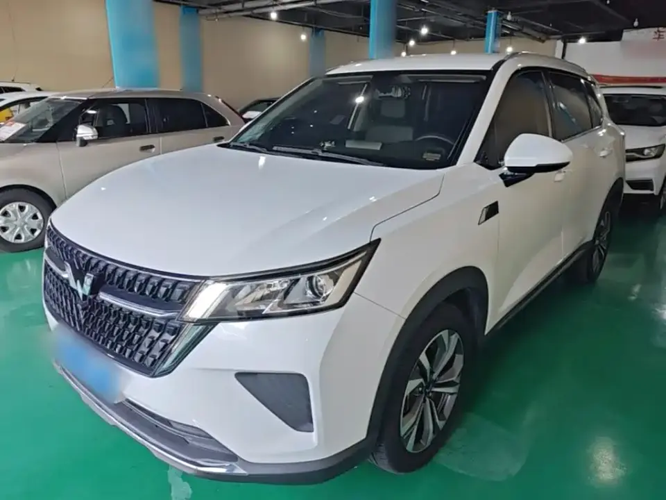 Wuling Motors Wuling Xingchen 2.0L DHT Electric Power Edition 2024