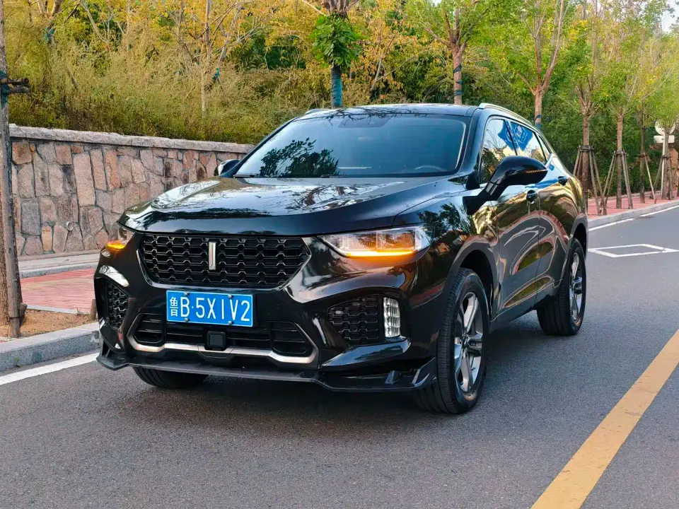 Wey VV5 2.0T 2WD Final Edition 2019