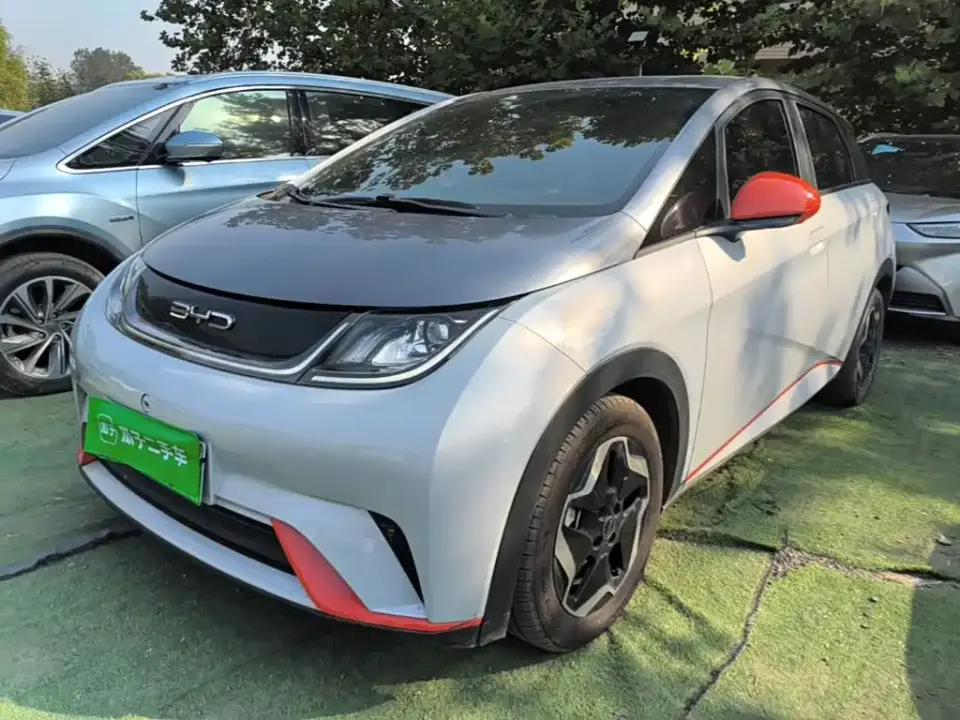 BYD Dolphin 405km Freedom Edition 2022