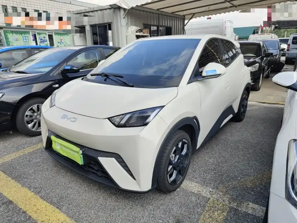 BYD Seagull 305km Freedom 2024