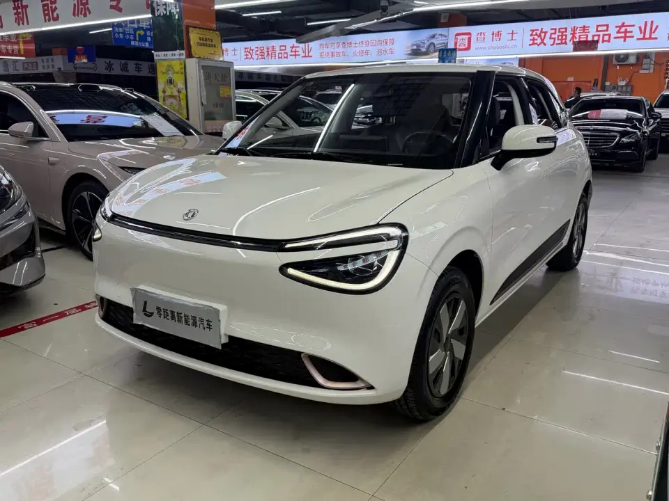 Dongfeng Yipai Nano 01 330 Youth Edition 2025