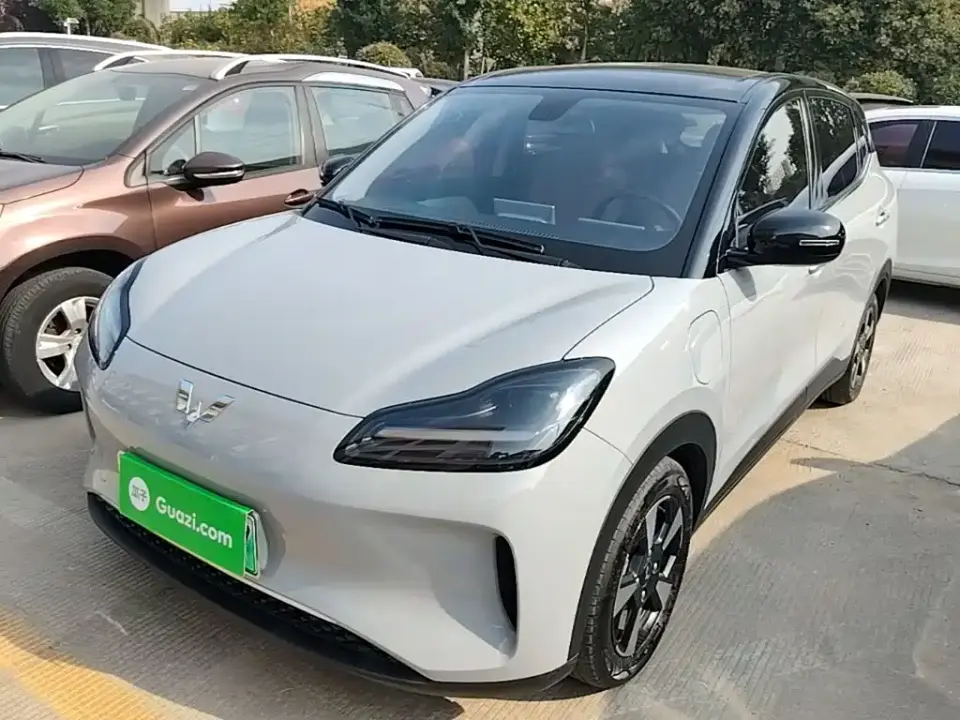 Wuling Motors Wuling Binguo PLUS Model 330km 5-Seater 2025
