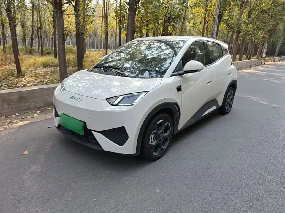 BYD Seagull Smart Drive Edition 305km Freedom Version 2026