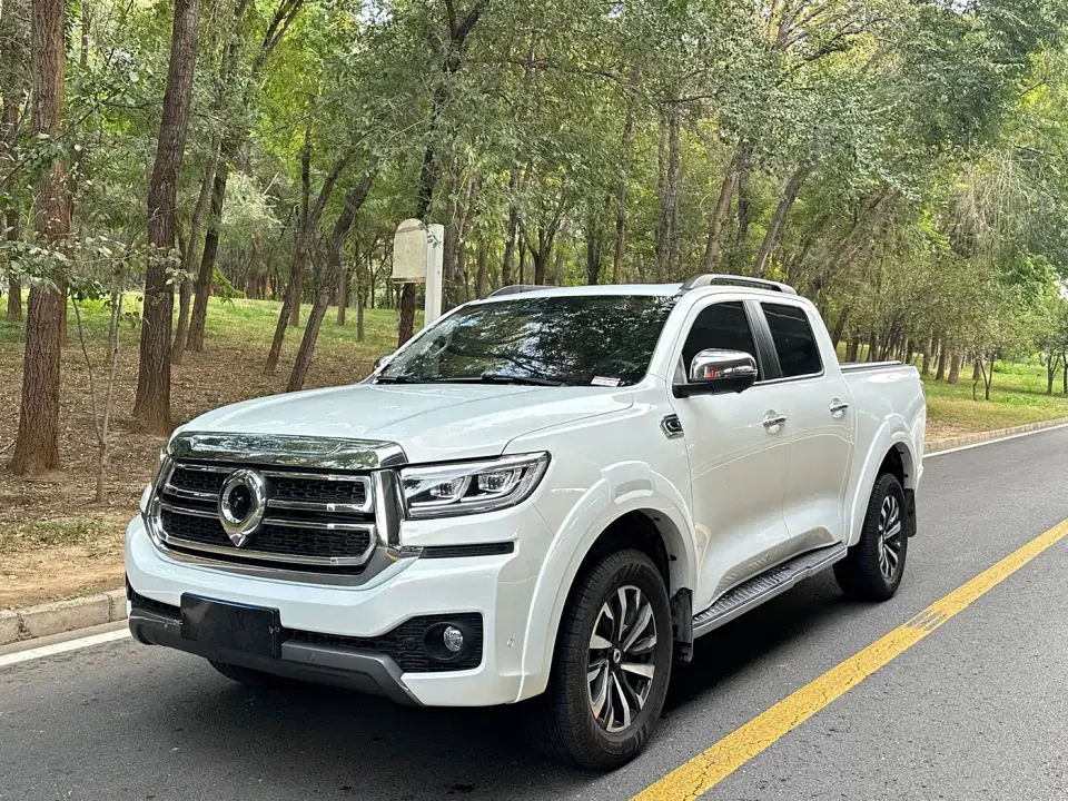 Great Wall Pao 2.0T Passenger Version Automatic Gasoline 4WD Premium GW4C20B 2024