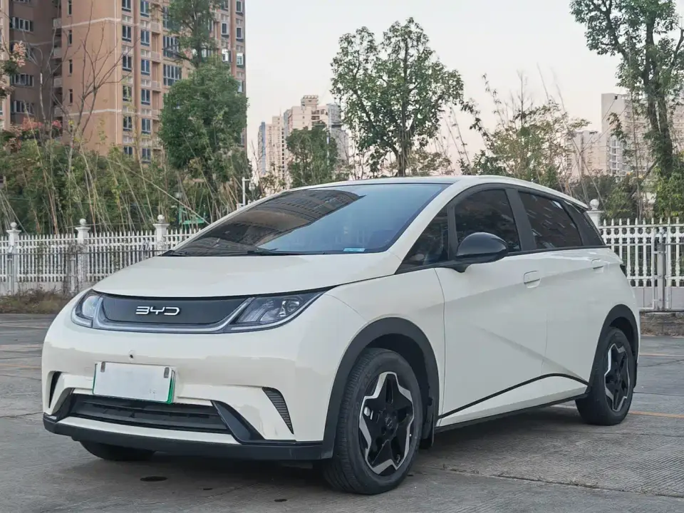 BYD Dolphin Model 405km Fashion Edition 2022