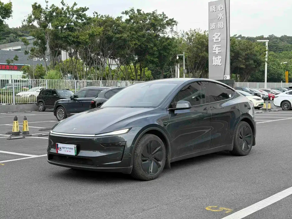 Tesla Model Y Model Long Range All-Wheel Drive Launch Edition 2025