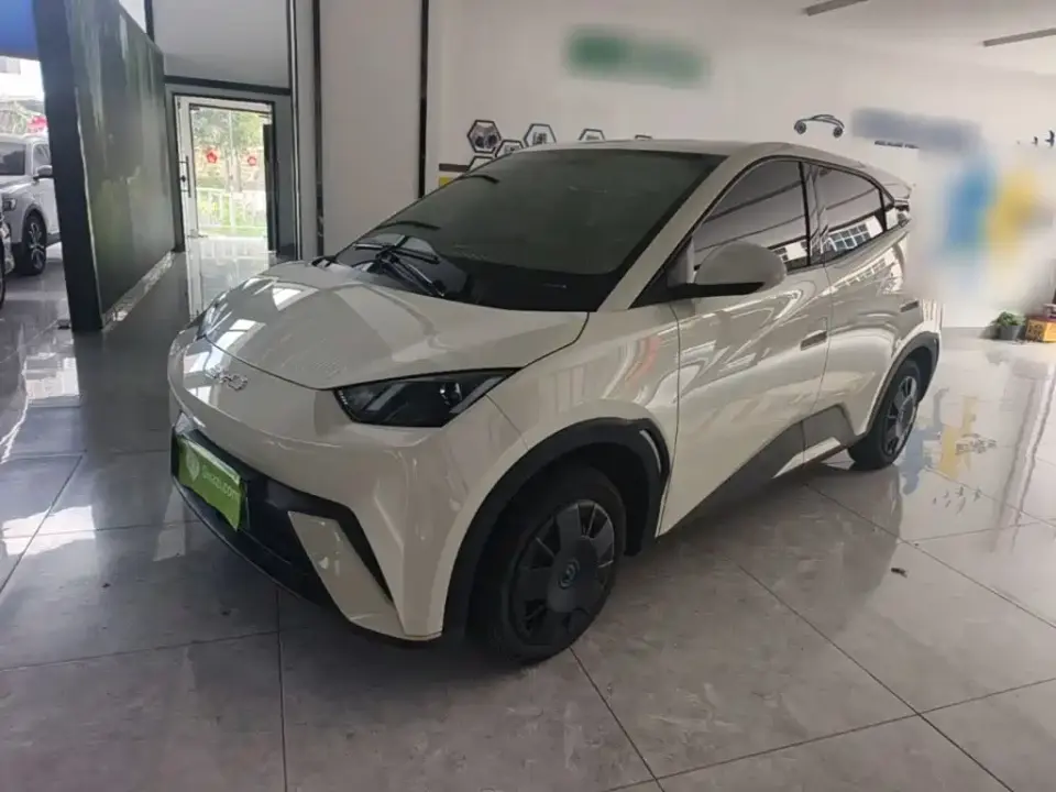 BYD Seagull Vitality Edition 2024