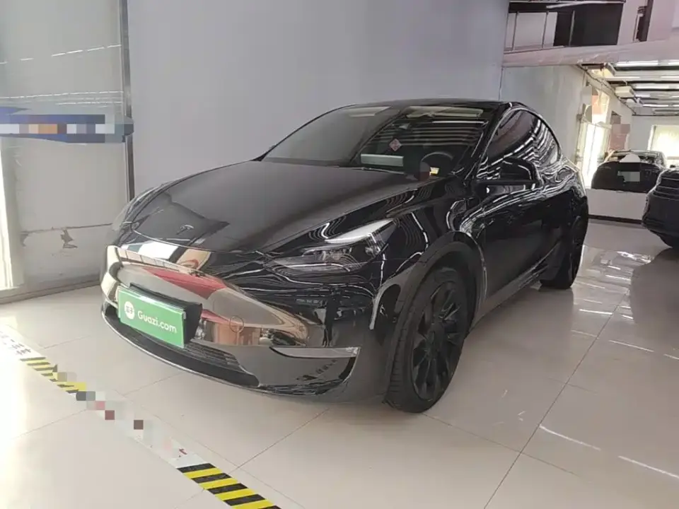 Tesla Model Y Standard Range Rear-Wheel Drive 2021
