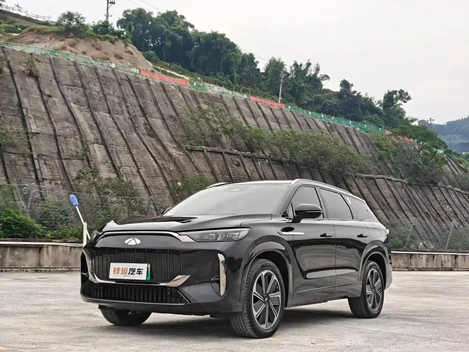 Chery Fengyun Fengyun T10 210 Luxury Edition 2024