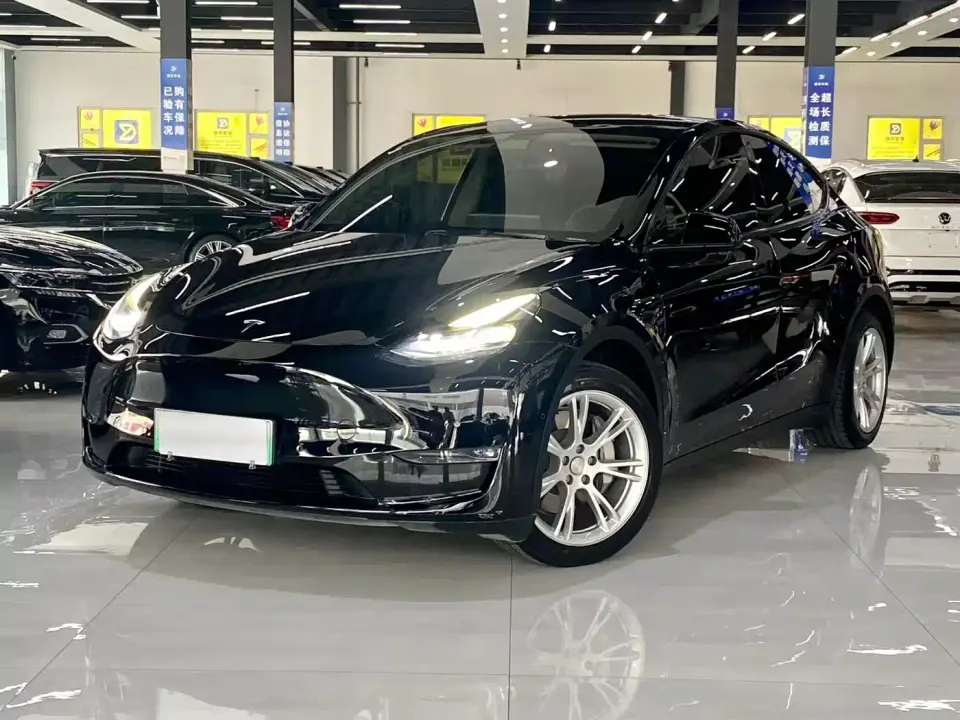 Tesla Model Y Standard Range Rear-Wheel Drive 2021