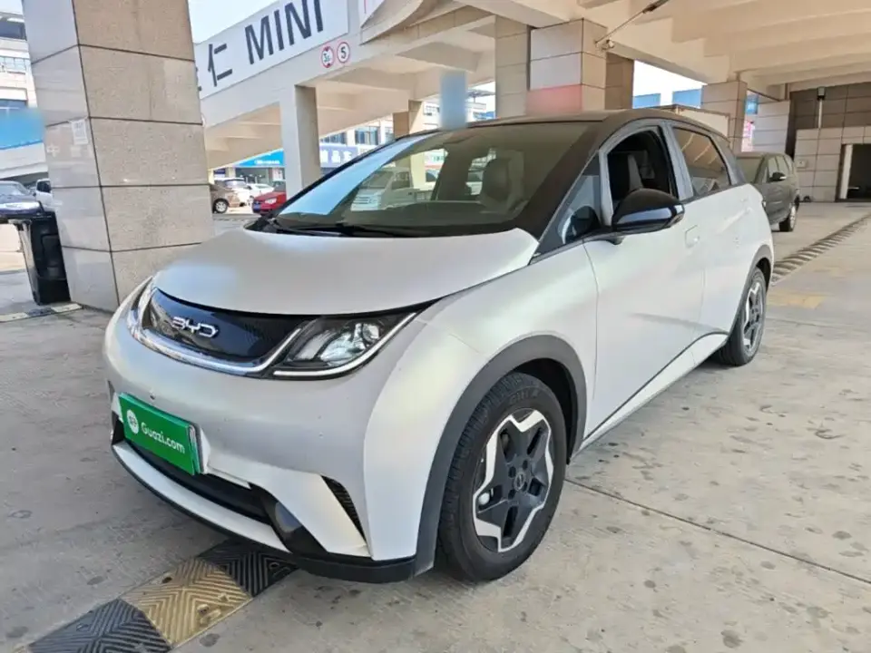 BYD Dolphin Model 405km Fashion Edition 2022