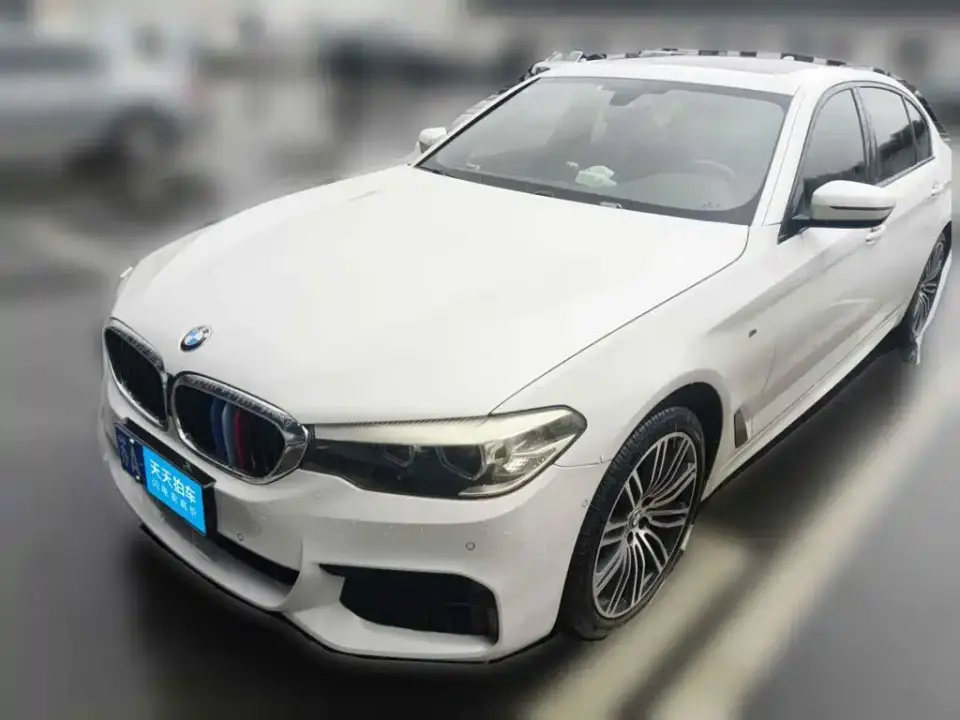 BMW 5 Series 530Li Leading M Sport Package 2019