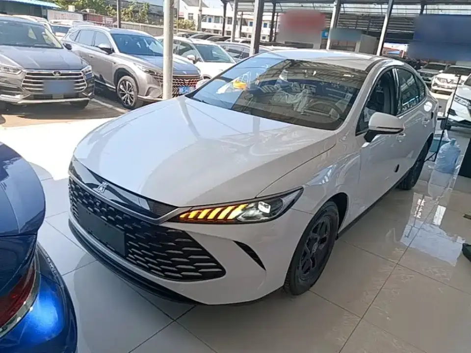 BYD Qin PLUS DM-i Smart Drive 55KM Leader 2025