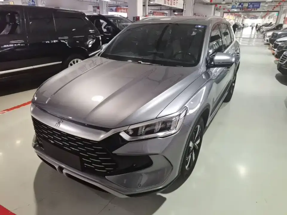 BYD Song Pro New Energy Glory Edition DM-i 71KM Pilot 2024