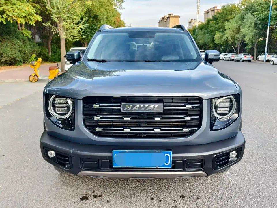 Haval Big Dog 1.5T DCT 2WD Labrador Edition 2021
