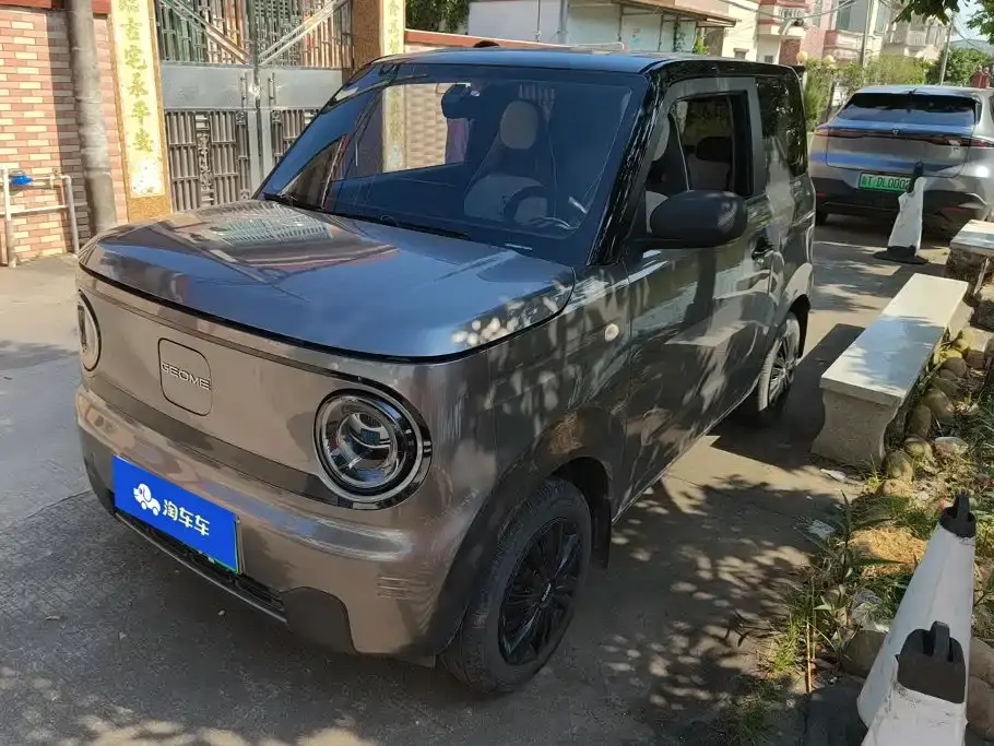 Geely Galaxy Panda Panda mini 200km Endurance Bear 2024