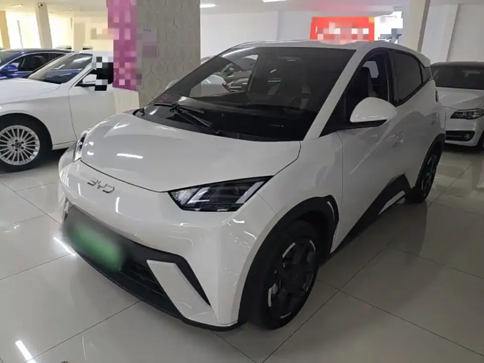 BYD Seagull 305km Freedom 2024