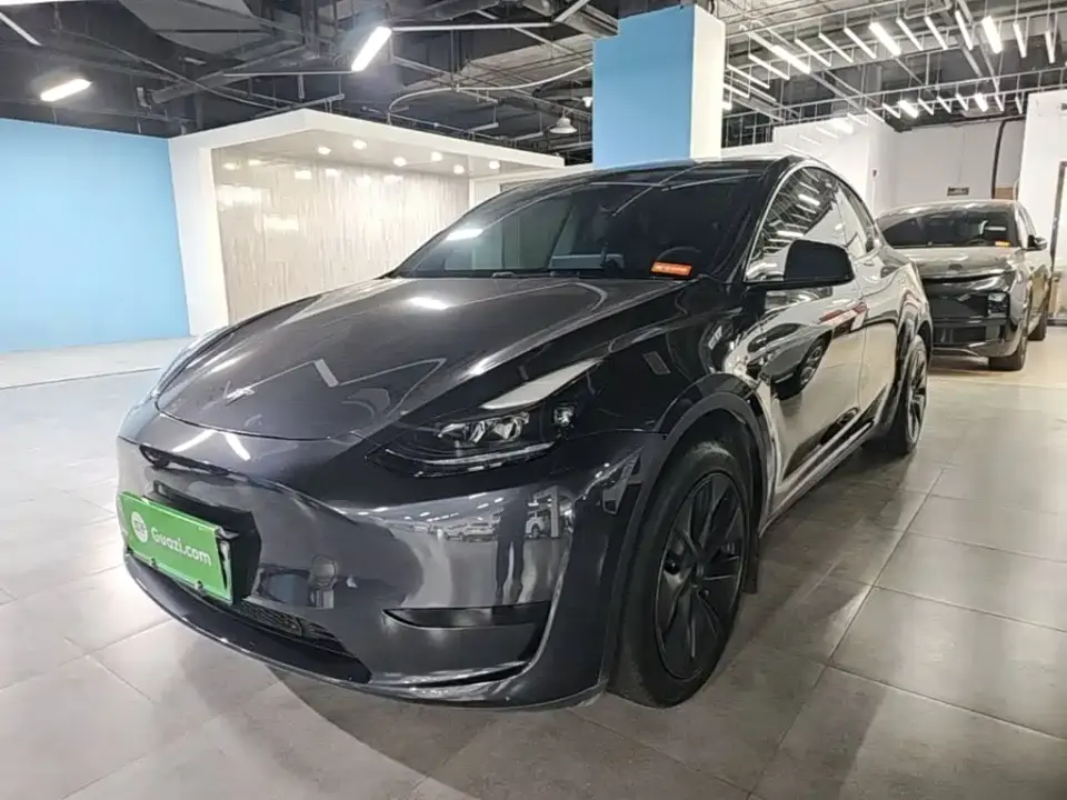 Tesla Model Y Rear-Wheel Drive Version 2024