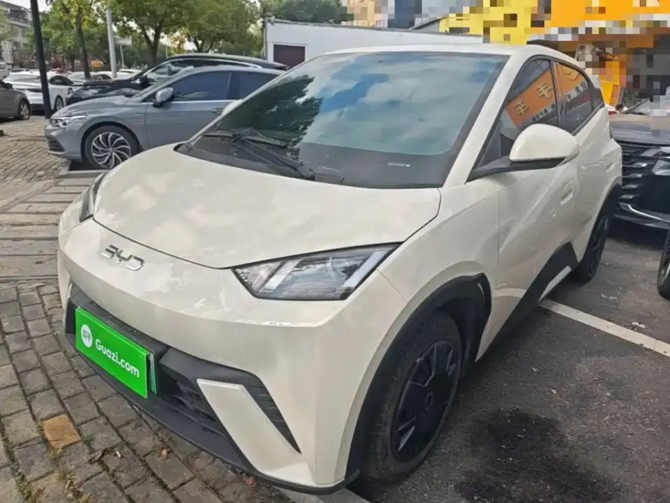 BYD Seagull 305km Vitality 2025