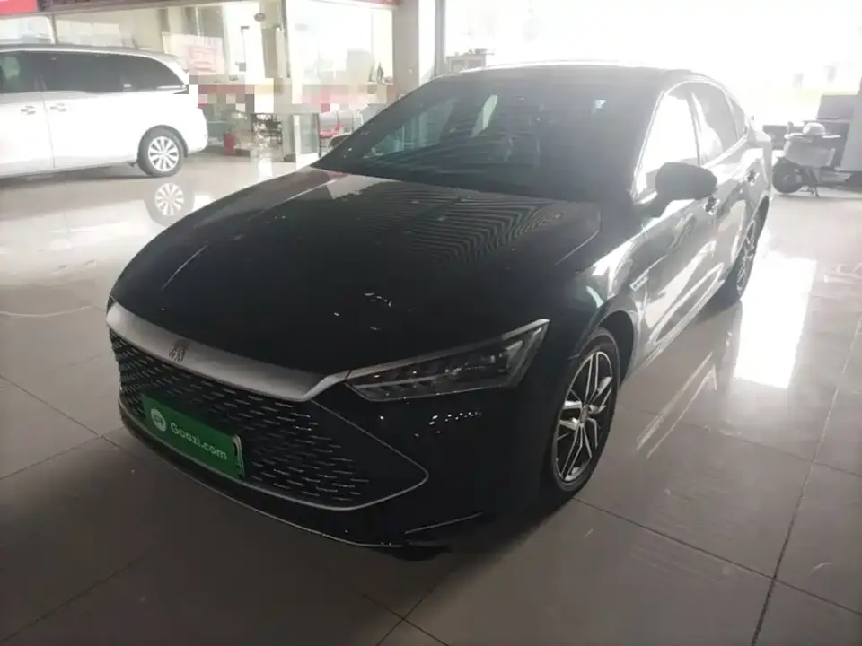 BYD Qin PLUS Champion Edition DM-i 55KM Surpassing 2023