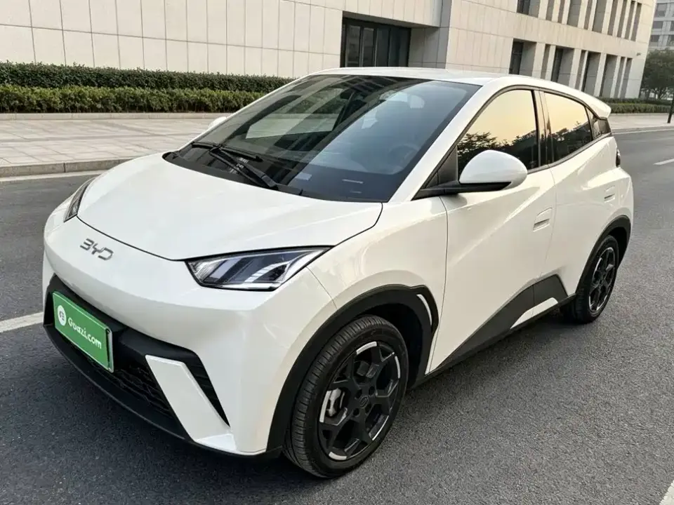 BYD Seagull 305km Freedom 2024